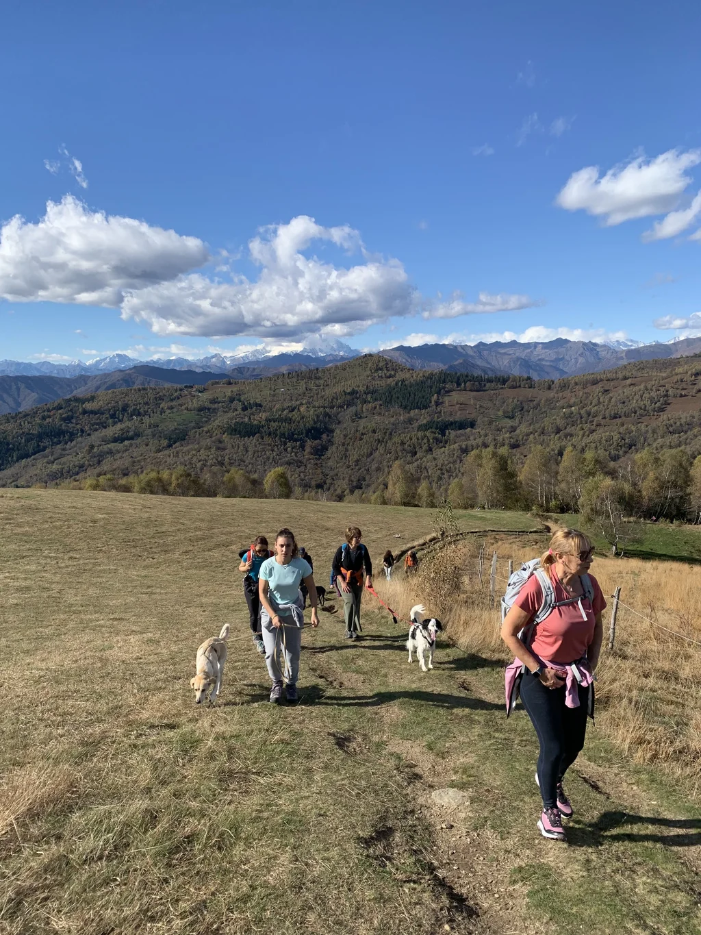 Dog trekking