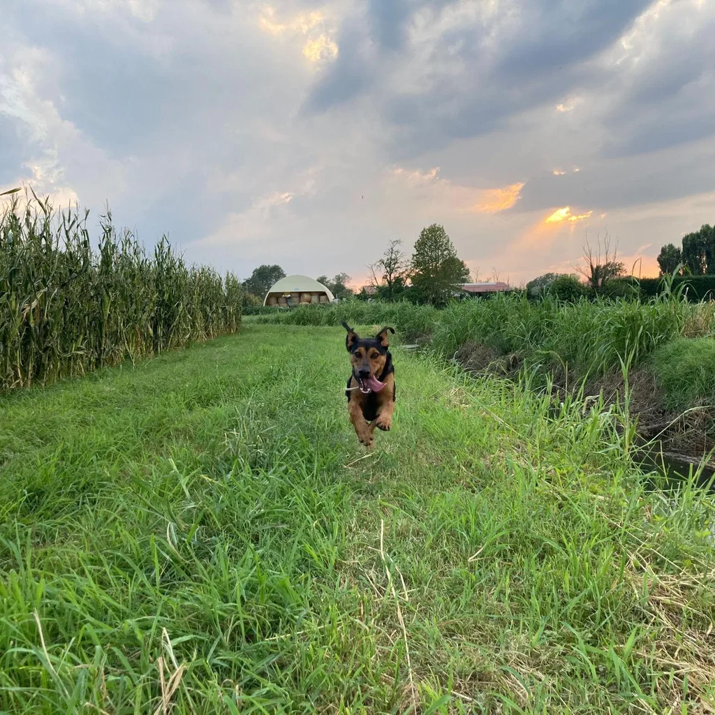 Luca con Argo